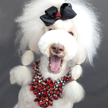 Red Pet Necklace